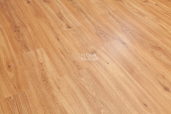 Bonkeel Wood Quattuor фото 2 | FLOORDEALER
