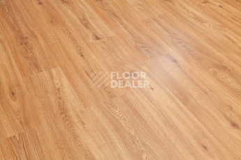 Bonkeel Wood Quattuor фото 2 | FLOORDEALER