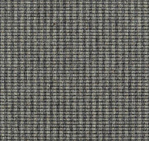 Ковролин Carpet Concept Goi 3 270506 фото 1 | FLOORDEALER