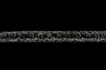 Desso Essence Pure ad 07 9850 фото 3 | FLOORDEALER