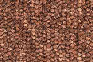 Ковролин Balsan Santa Fe DD Santa Fe dd 490 фото  | FLOORDEALER