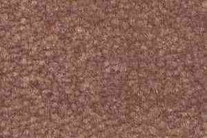 Ковролин Shaw Bradberry 30 362 фото  | FLOORDEALER