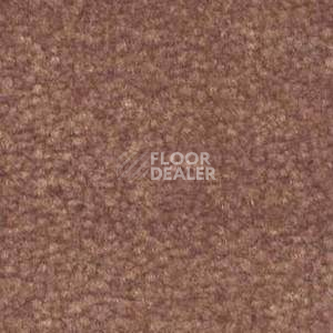 Ковролин Shaw Bradberry 30 362 фото 1 | FLOORDEALER