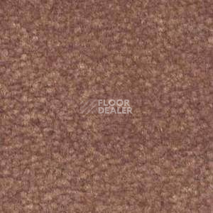 Ковролин Shaw Bradberry 30 362 фото 1 | FLOORDEALER