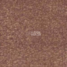 Ковролин Shaw Bradberry 30 362 фото 1 | FLOORDEALER