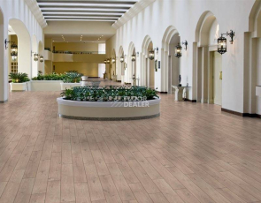 My Floor Cottage 8мм mv808 Дуб бежевый Атласный фото 3 | FLOORDEALER