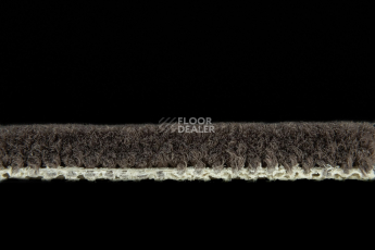 Balsan Les Best S 790 фото 3 | FLOORDEALER