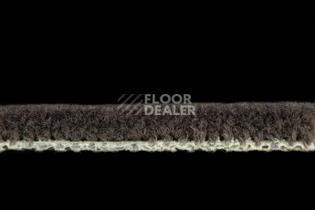 Balsan Les Best S 790 фото 3 | FLOORDEALER