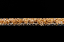 Desso Essence Pure ad 07 5411 фото 3 | FLOORDEALER