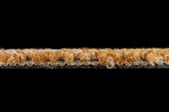 Desso Essence Pure ad 07 5411 фото 3 | FLOORDEALER