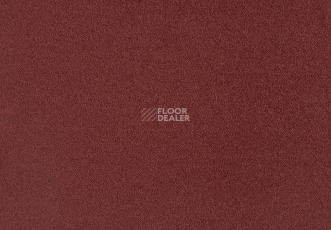 Lano Zen 141 фото 1 | FLOORDEALER