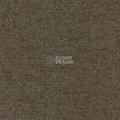 Ковровая плитка Desso City 240 фото 1 | FLOORDEALER
