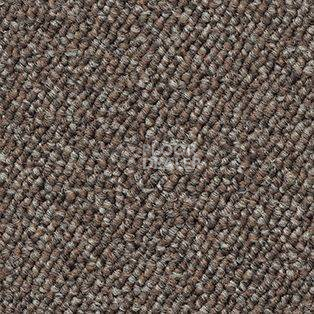 Ковролин AW Shelbourne 37 фото 1 | FLOORDEALER