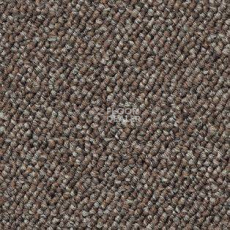 Ковролин AW Shelbourne 37 фото 1 | FLOORDEALER