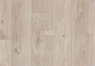 Parador Basic Plus 200 V 1594002 Дуб Натурально-серый фото 2 | FLOORDEALER