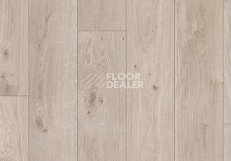 Parador Basic Plus 200 V 1594002 Дуб Натурально-серый фото 2 | FLOORDEALER