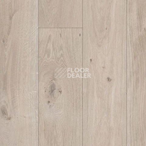Parador Basic Plus 200 V 1594002 Дуб Натурально-серый фото 2 | FLOORDEALER