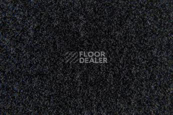Forbo Flotex Colour Penang p 982031 Penang Ash фото 3 | FLOORDEALER