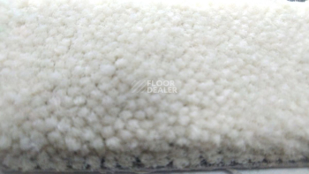 Condor  Magic 70 фото 2 | FLOORDEALER