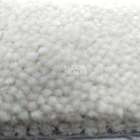 Condor  Magic 70 фото 2 | FLOORDEALER