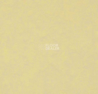 Линолеум Forbo Marmoleum Неожиданная природа 3566 фото 1 | FLOORDEALER