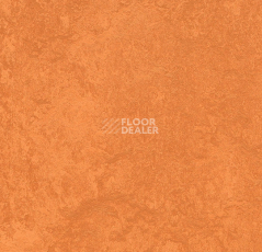 Линолеум Forbo Marmoleum Sport 83286 orange фото 1 | FLOORDEALER
