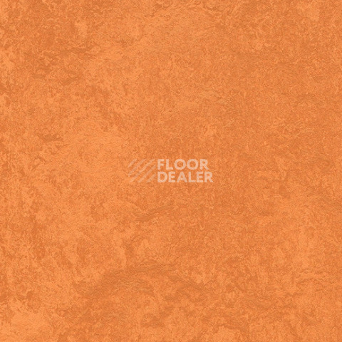 Линолеум Forbo Marmoleum Sport 83286 orange фото 1 | FLOORDEALER