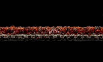 AW Maxima 12 фото 6 | FLOORDEALER