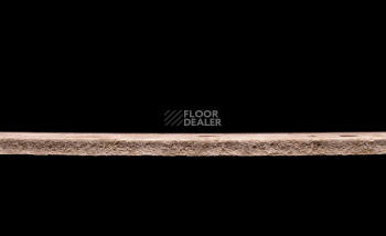 Tarkett Primo Plus 307 фото 3 | FLOORDEALER