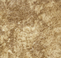 Линолеум Novoflor Standard 3100_15 фото 1 | FLOORDEALER