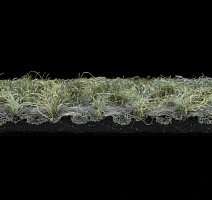 Tessera Chroma 3613 Pasture фото 4 | FLOORDEALER