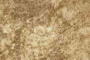 Линолеум Novoflor Standard 3100_15 фото  | FLOORDEALER