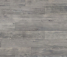 Линолеум Novoflor Extra Wood 2017-56 фото 1 | FLOORDEALER