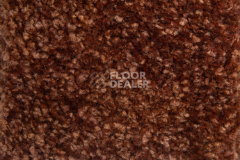 Balsan Sweet Dreams 780 фото 2 | FLOORDEALER