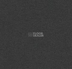 Линолеум Forbo Marmoleum Bulletin Board 2209 black olive фото 1 | FLOORDEALER