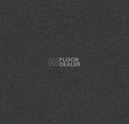 Линолеум Forbo Marmoleum Bulletin Board 2209 black olive фото 1 | FLOORDEALER