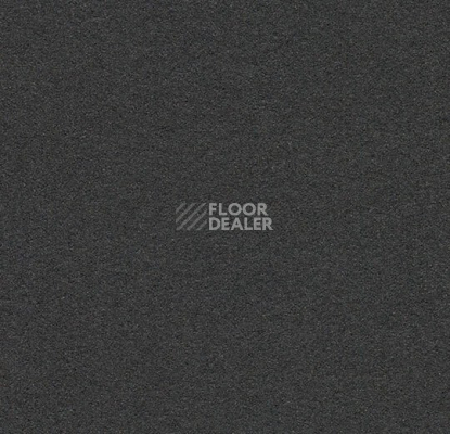 Линолеум Forbo Marmoleum Bulletin Board 2209 black olive фото 1 | FLOORDEALER