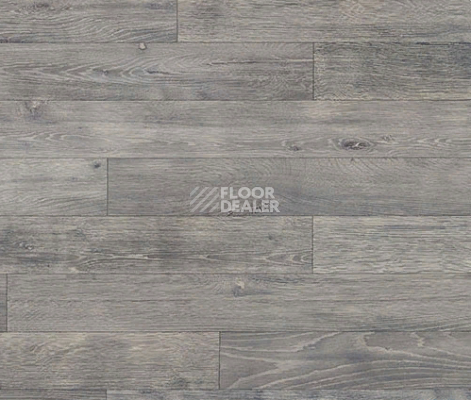 Линолеум Novoflor Extra Wood 2017-56 фото 1 | FLOORDEALER