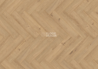 Ламинат Terhurne Herringbone Edition New Дуб Патио фото 1 | FLOORDEALER