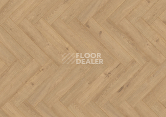 Ламинат Terhurne Herringbone Edition New Дуб Патио фото 1 | FLOORDEALER