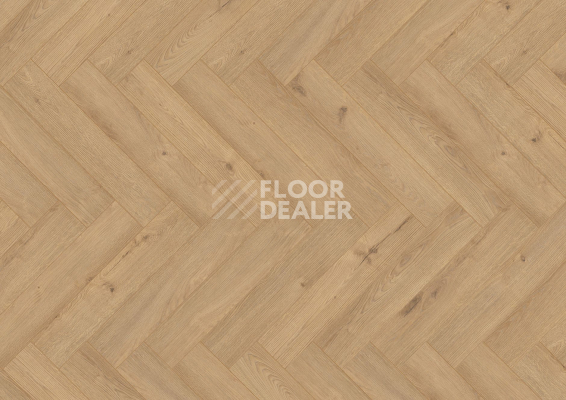 Ламинат Terhurne Herringbone Edition New Дуб Патио фото 1 | FLOORDEALER