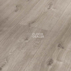 Ламинат Parador Basic Plus 600 XS 1744355 Дуб Valere Gekälkt Жемчужно-серый фото 1 | FLOORDEALER