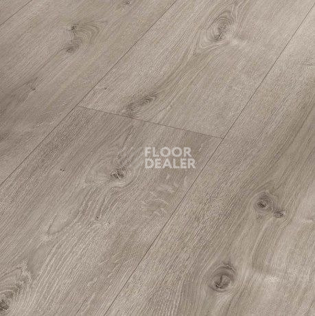 Ламинат Parador Basic Plus 600 XS 1744355 Дуб Valere Gekälkt Жемчужно-серый фото 1 | FLOORDEALER