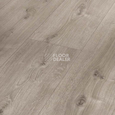 Ламинат Parador Basic Plus 600 XS 1744355 Дуб Valere Gekälkt Жемчужно-серый фото 1 | FLOORDEALER