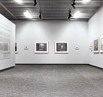 Hoffman Duplex Плетённые Duplex 8012H фото 4 | FLOORDEALER