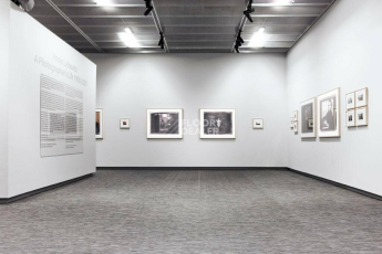 Hoffman Duplex Плетённые Duplex 8012H фото 4 | FLOORDEALER