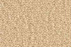 Ковролин Balsan Les Best III Les Best III 630 фото  | FLOORDEALER