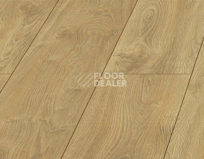 Kronopol Platinium Holiday AQUA BLOCK 8mm Kronopol Platinium Holiday Aqua Block 24h Дуб Маврикий D40124 фото 2 | FLOORDEALER