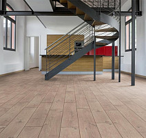 My Floor Cottage 8мм mv808 Дуб бежевый Атласный фото 7 | FLOORDEALER