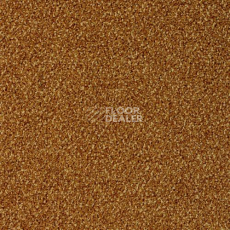 Ковровая плитка Desso Torso 5421 фото 1 | FLOORDEALER